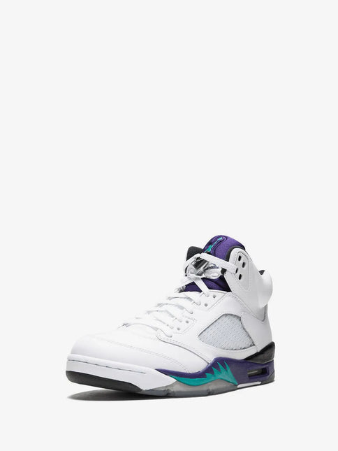 Men's Nike Air Jordan 5 Grape Shoes
