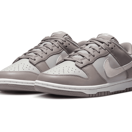 Men's Dunk Low Moon Fossil Shoes