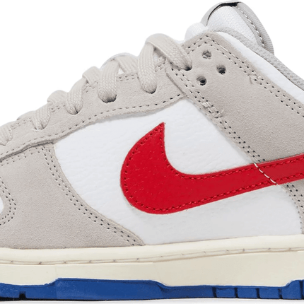 Men's SB Dunk Low Light Iron Ore Shoes