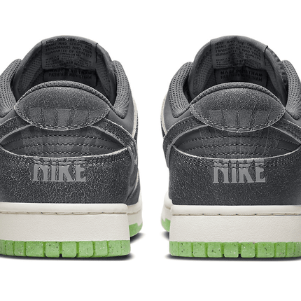 Men's SB Dunk Low Iron Grey Shoes