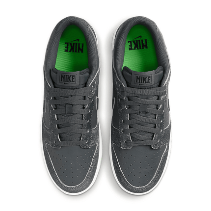 Men's SB Dunk Low Iron Grey Shoes