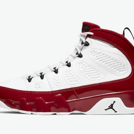 Men's Air Jordan 9 Gym Red Shoes