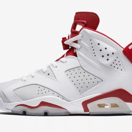 Men's Air Jordan 6 Alternate 91 Shoes