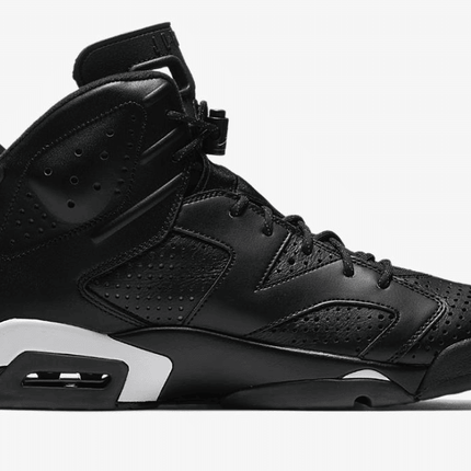 Men's Air Jordan 6 Black Cat Shoes
