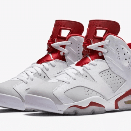 Men's Air Jordan 6 Alternate 91 Shoes