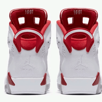 Men's Air Jordan 6 Alternate 91 Shoes