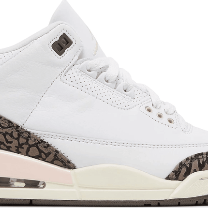 Men's Air Jordan 3 Retro Neapolitan Shoes