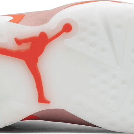 Men's Air Jordan 6 Retro x Aleali May Shoes