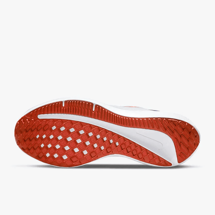 Men's Air Zoom Winflo 9 Grey Concord Shoes