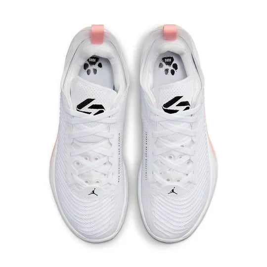 Men's Air Jordan Luka 1 Dog Dad Shoes