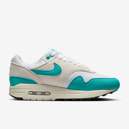 Men's Nike Air Max 1 Dusty Cactus Shoes