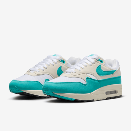 Men's Nike Air Max 1 Dusty Cactus Shoes