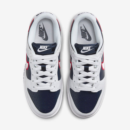 Men's Nike Dunk Low 'Houston Comets Four-Peat' Shoes