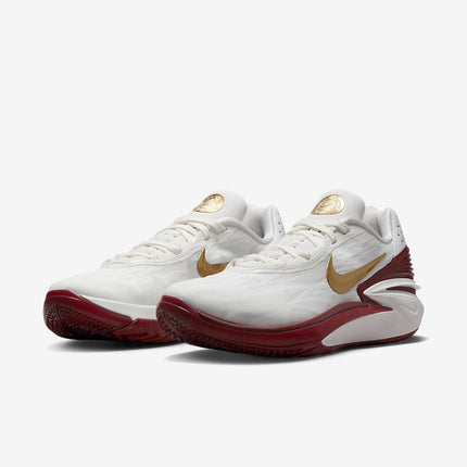 Men's Nike Zoom Cut GT 2 Just Do It Shoes