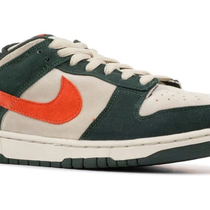 Men's Nike SB Dunk Low Eire Shoes