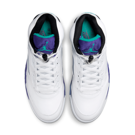 Men's Nike Air Jordan 5 Grape Shoes